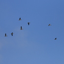 img-1272.jpg